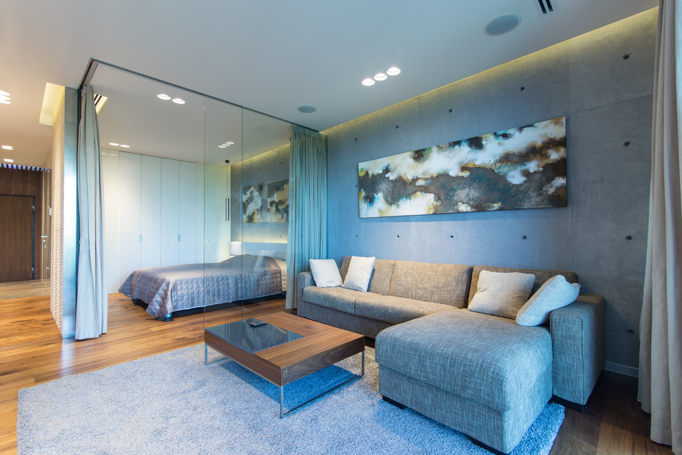 Студия в стиле функционального минимализма