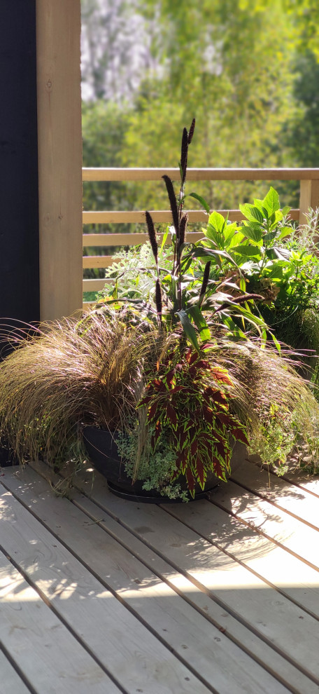 Обложка проекта: Проект " В тонких линиях "