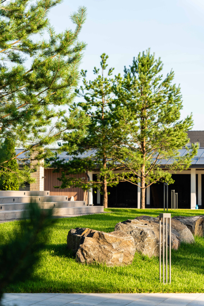 Обложка проекта: Ромашки