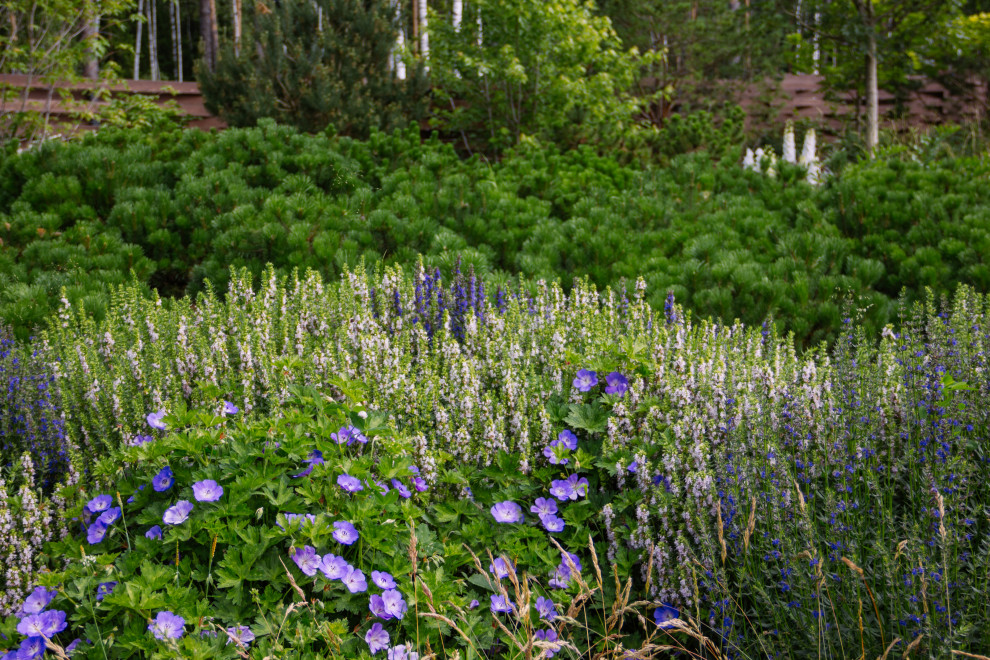 Сад Алгоритм