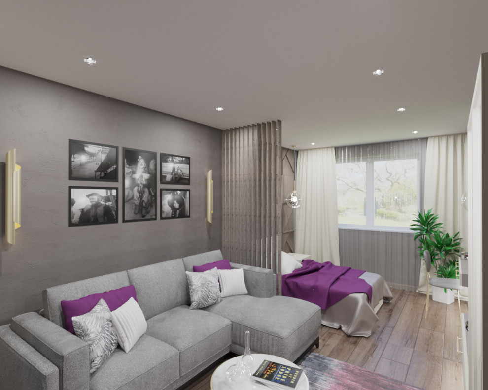 Гостиная + спальня