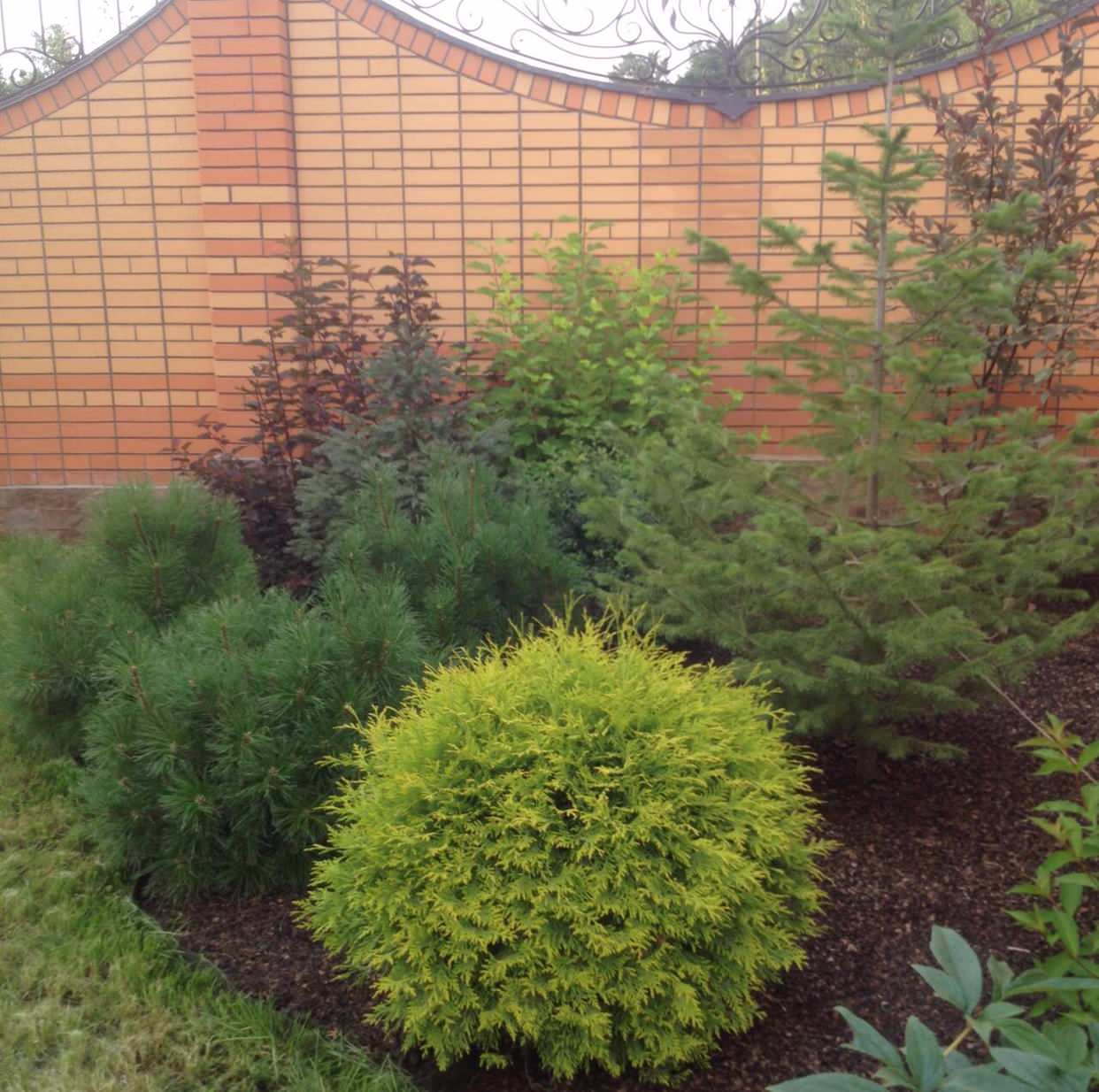 Ландшафтный дизайн участка 8,5 соток.