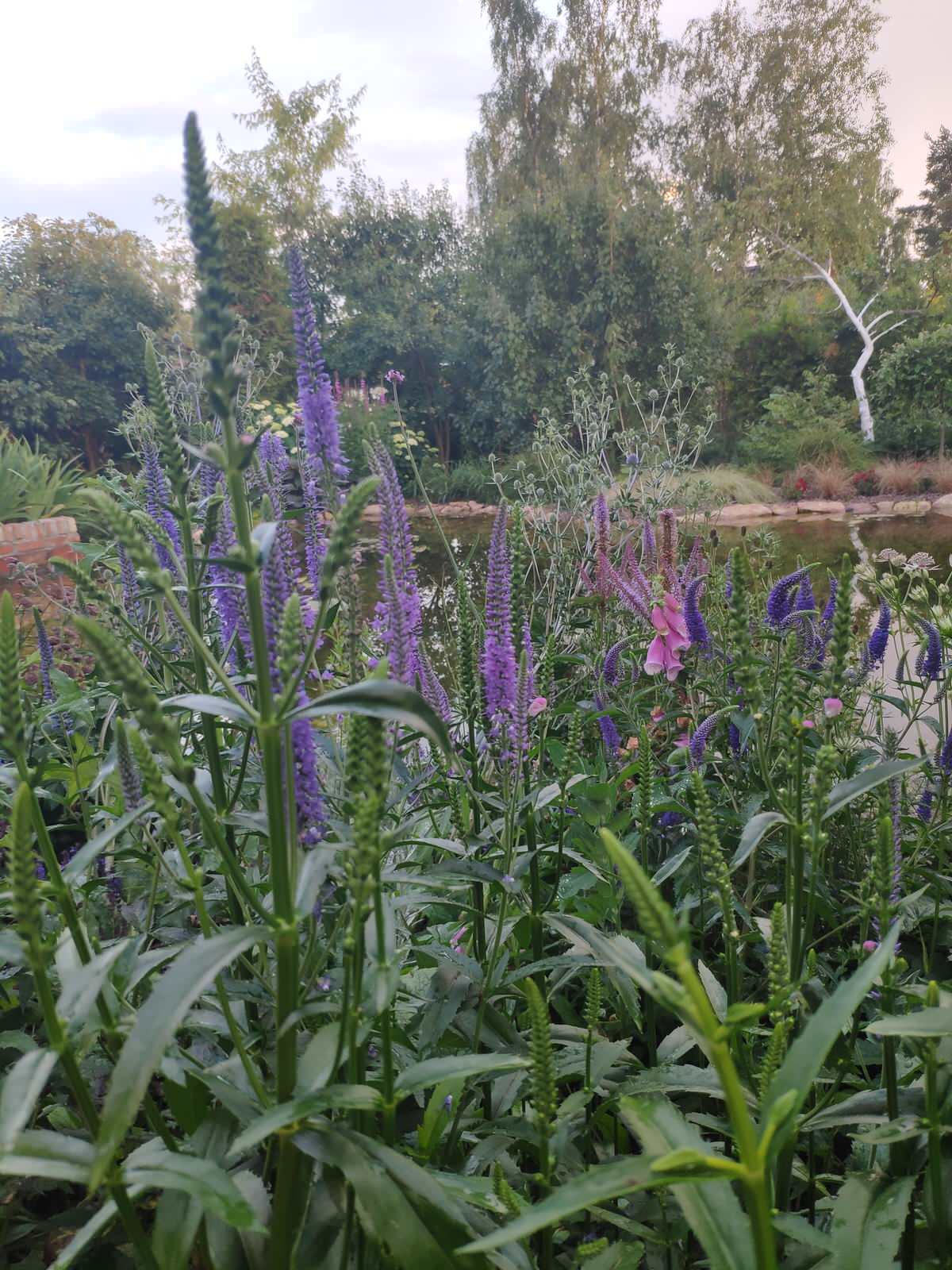 "Экспериментальный" сад любителя растений