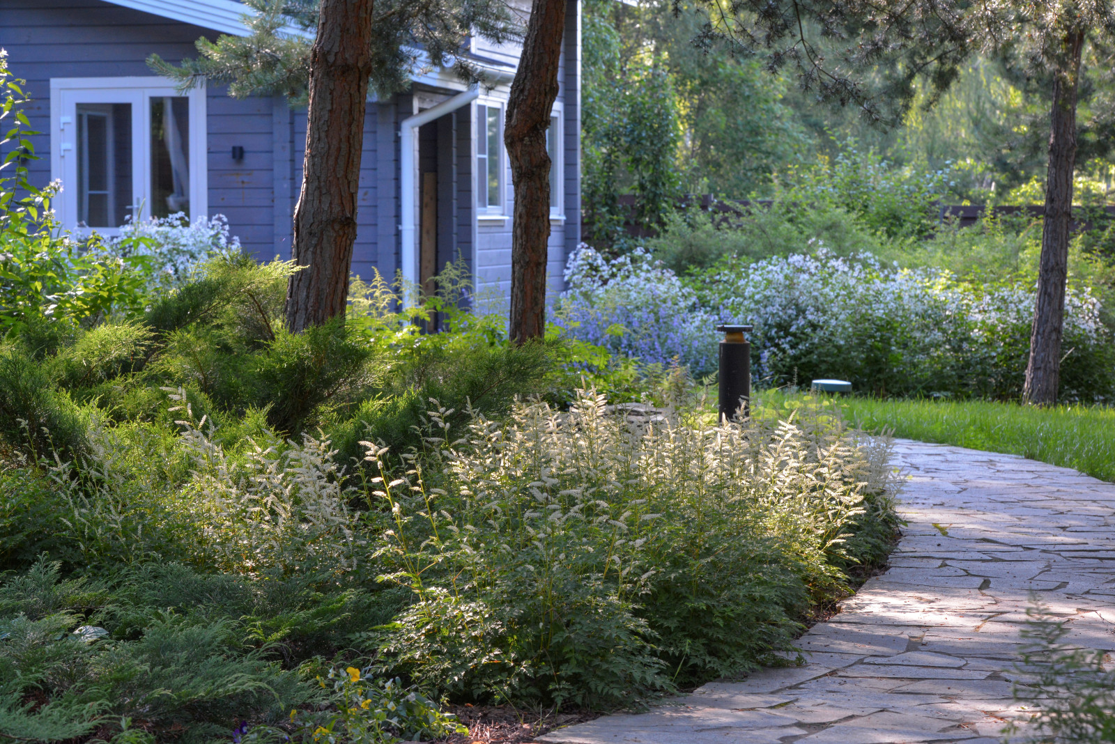Озеро в лесу. Посёлок Приволье.