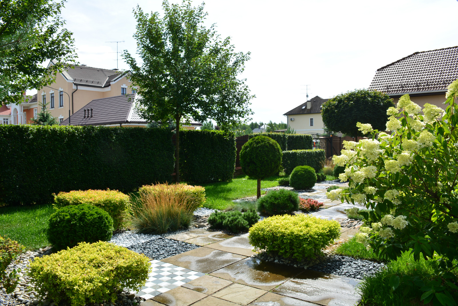 Ловушка для глаз