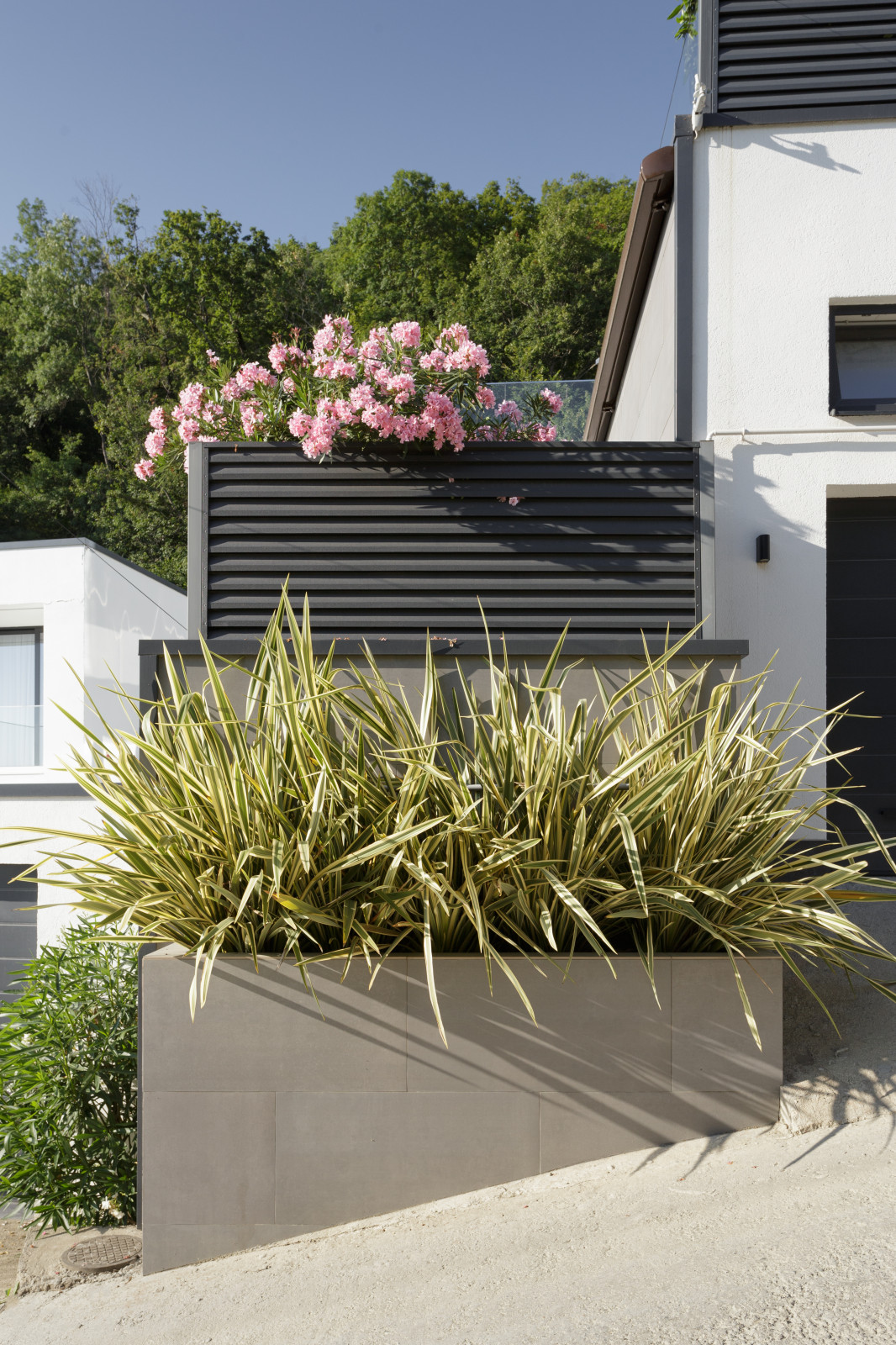 Обложка проекта: Ландшафтный Дизайн Сочи