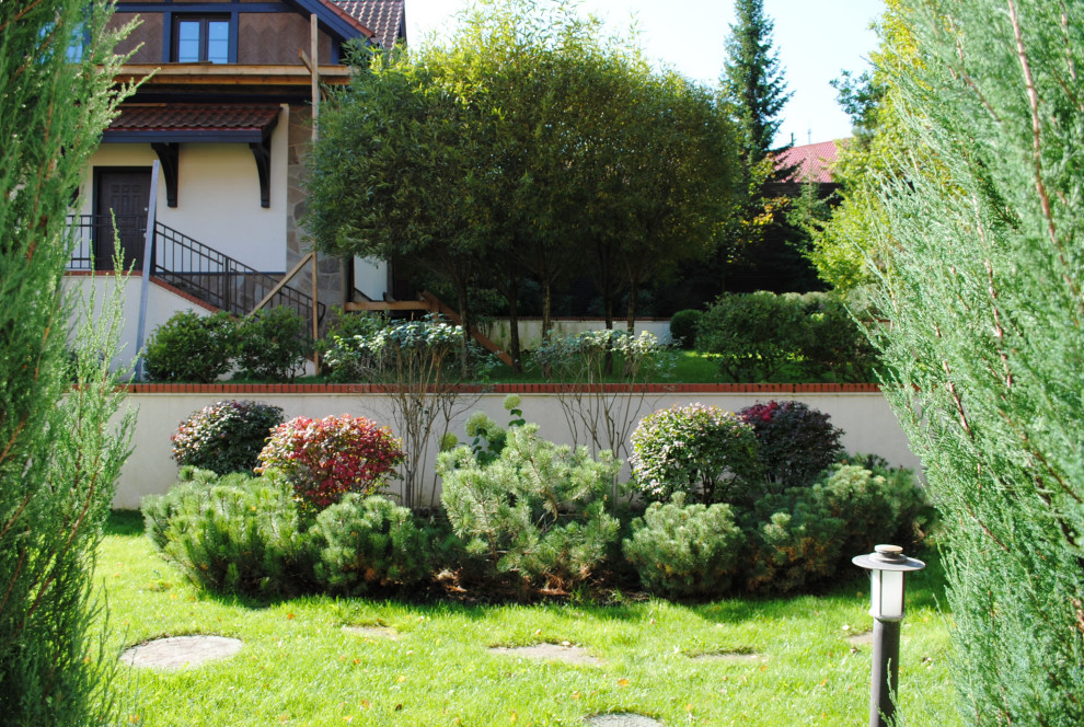 Осенний лес.Дмитровское шоссе