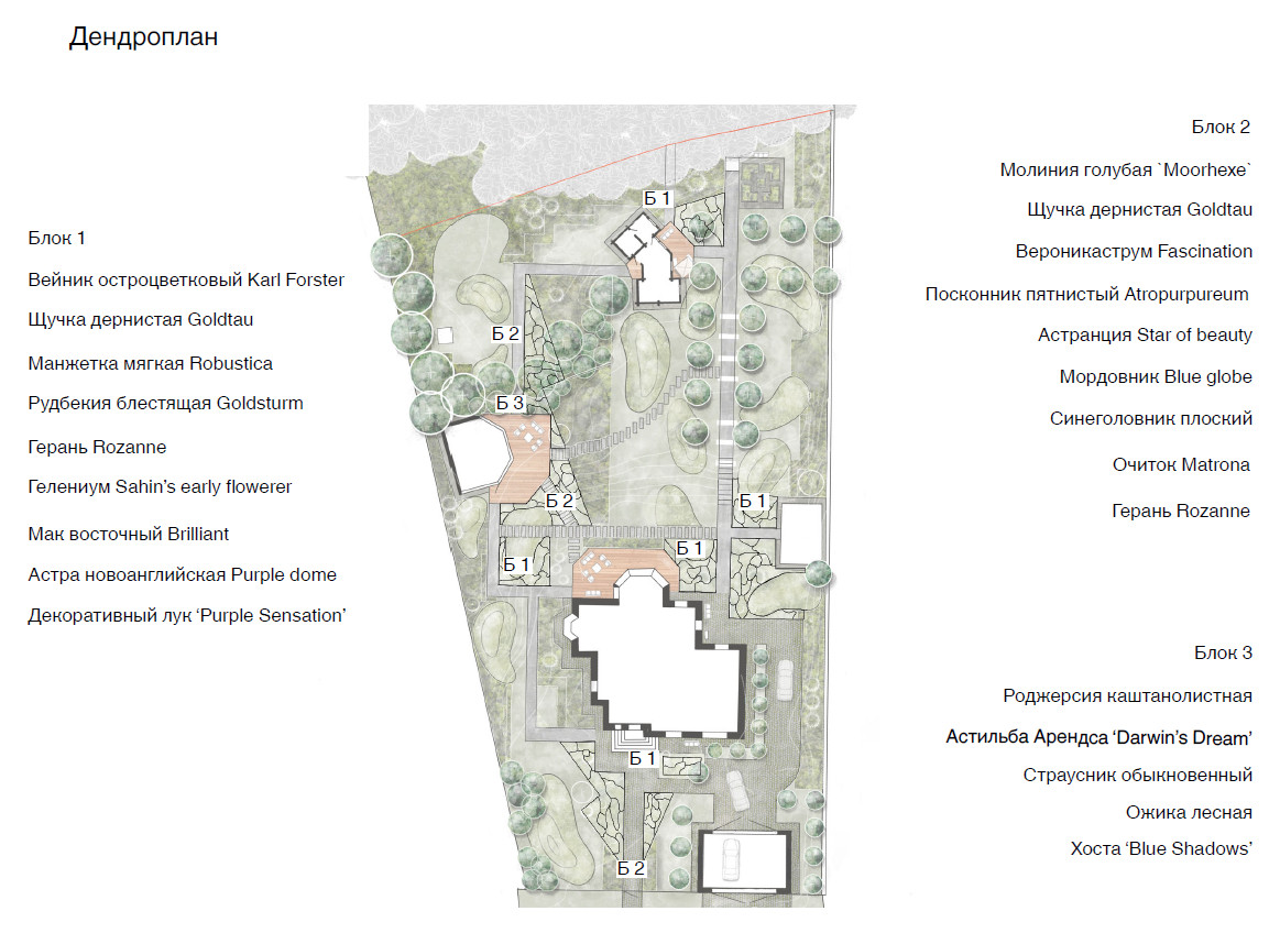 Проект частного сада 25 соток