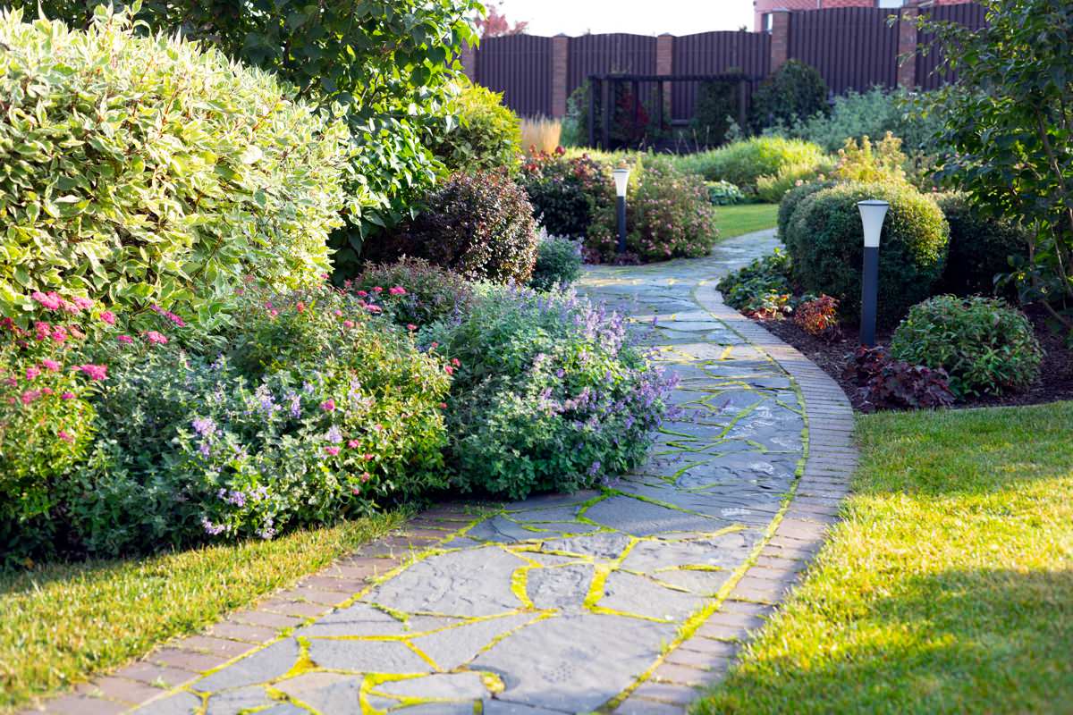 Обложка проекта: Мистолово