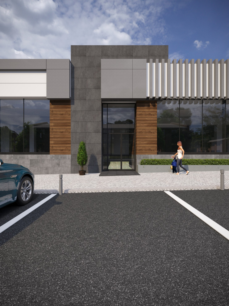 Реконструкция фасадов магазина "Мечта"