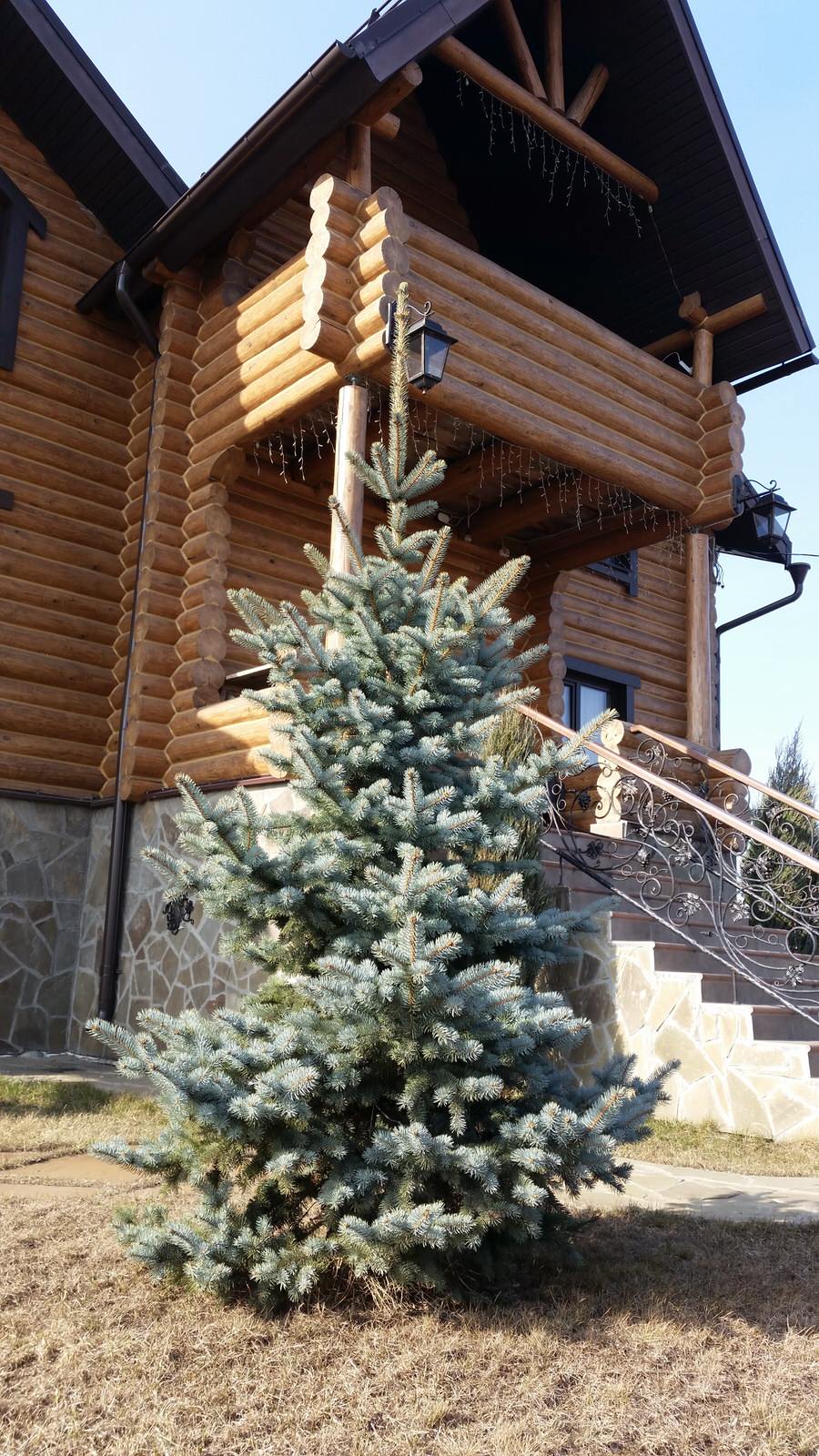 Елена Седачева