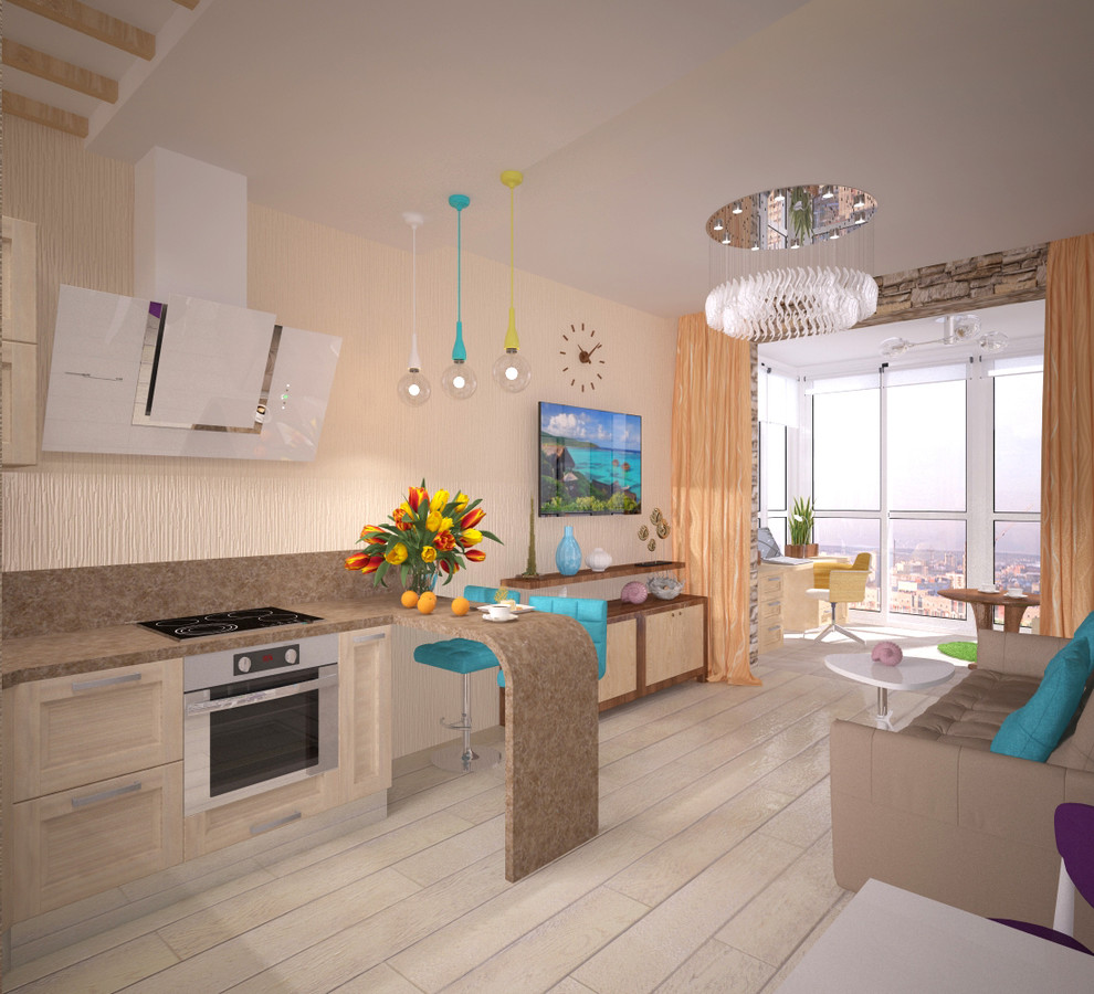 2013г. Интерьер 1к квартиры 50 м2 в г.Кемерово