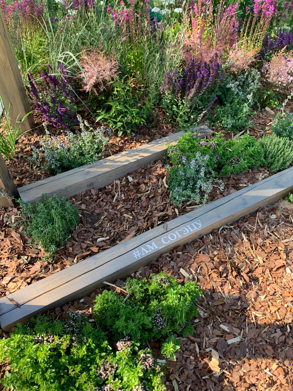 Выстовочный сад Сады И Люди