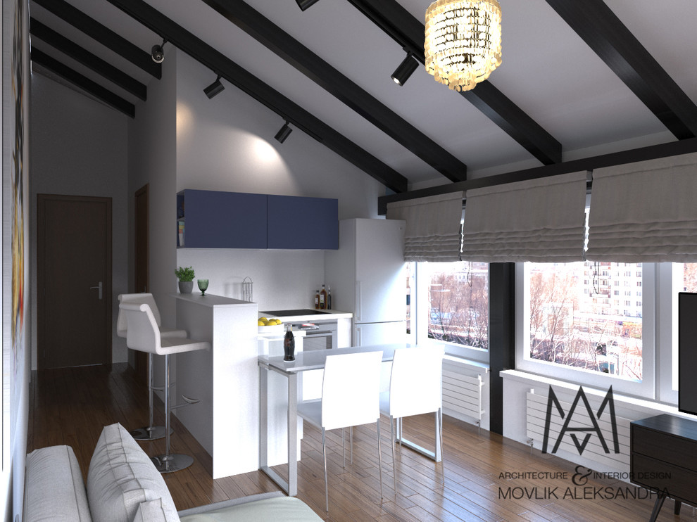 Гостиная_кухня