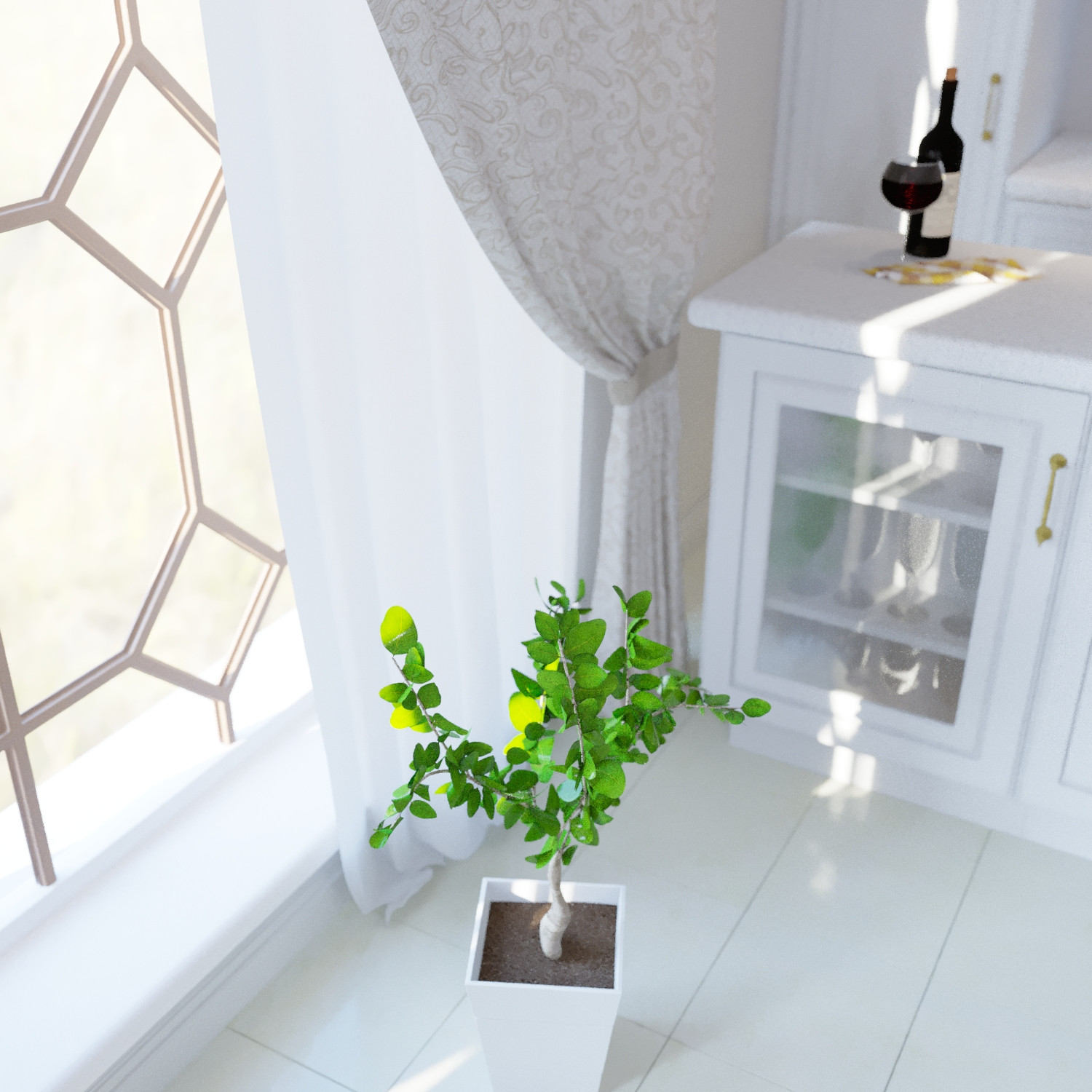 Комнатное растение