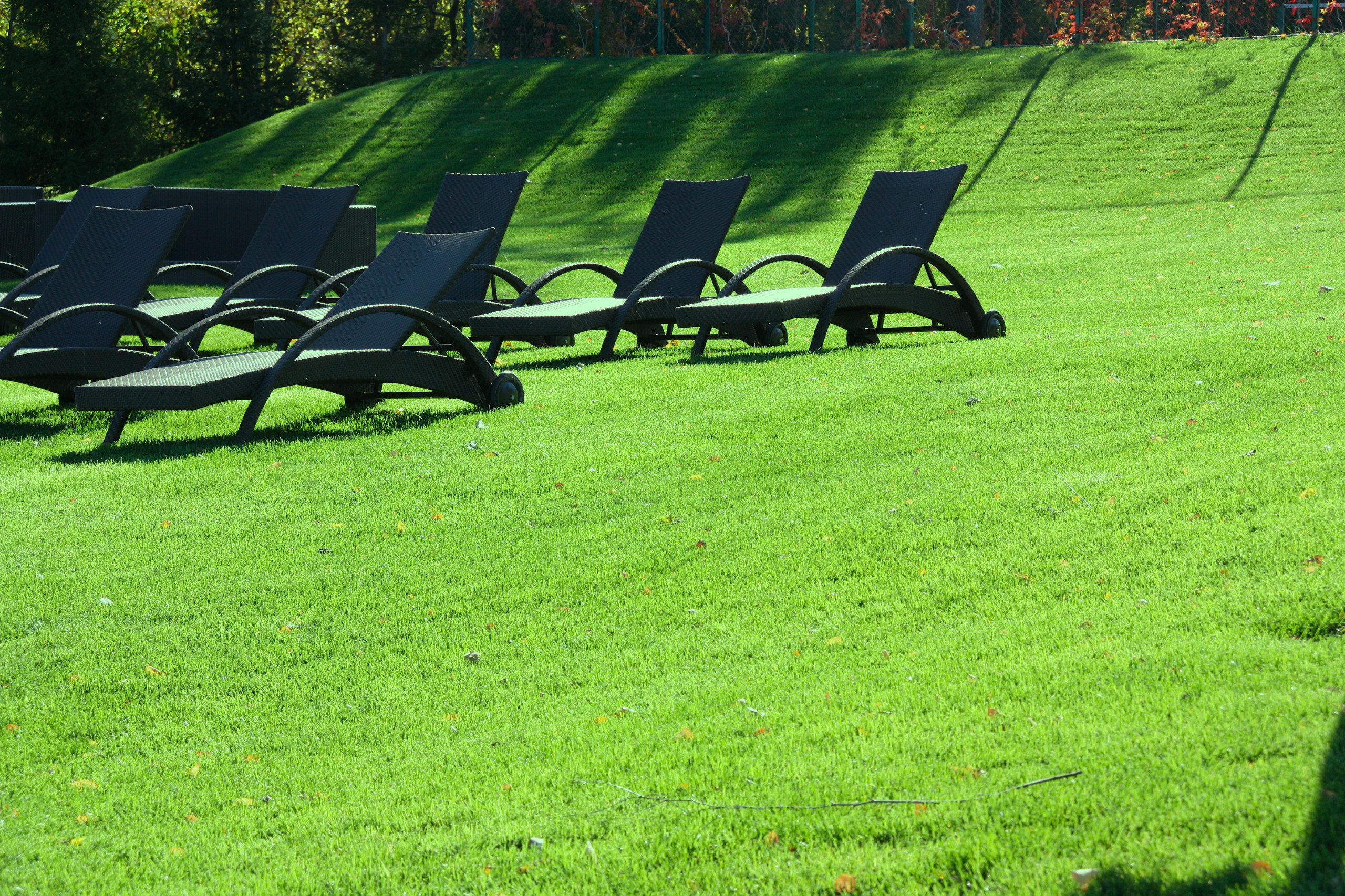 Рулонный газон: Лужайка, которую можно взять с собой