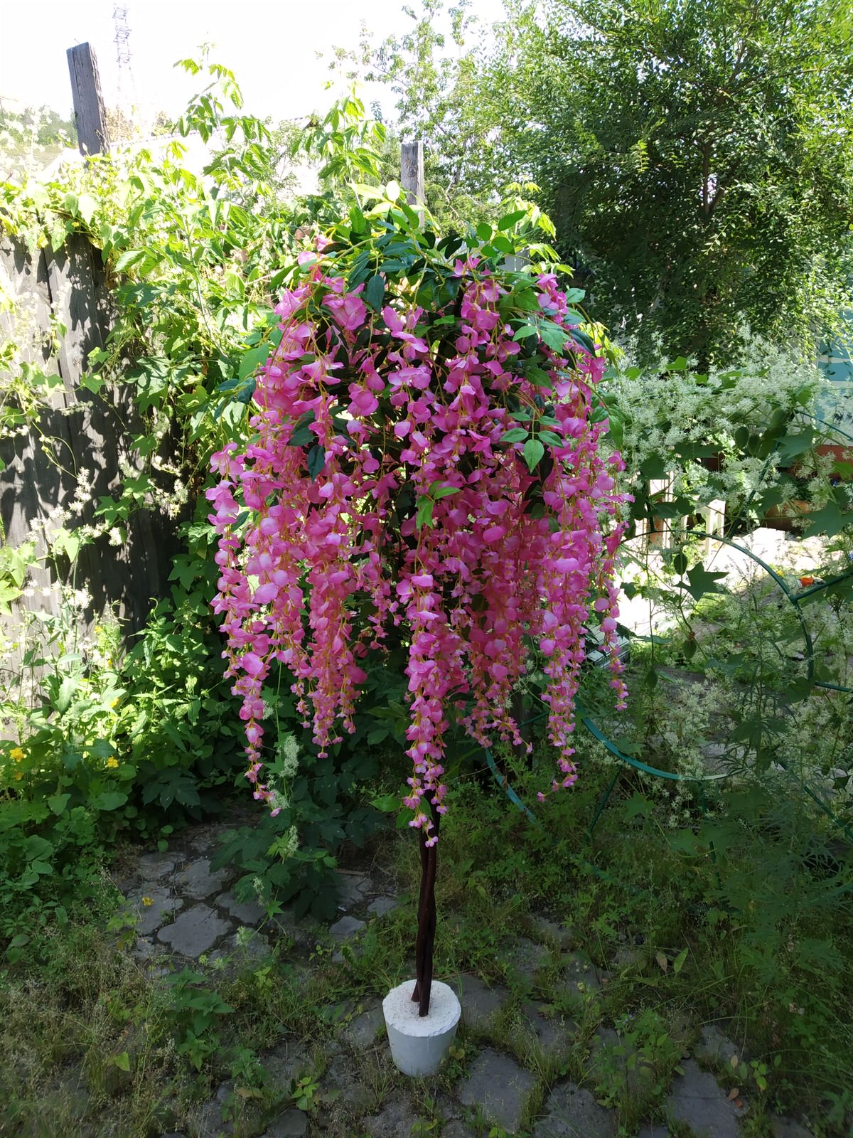 Unnamed Photo