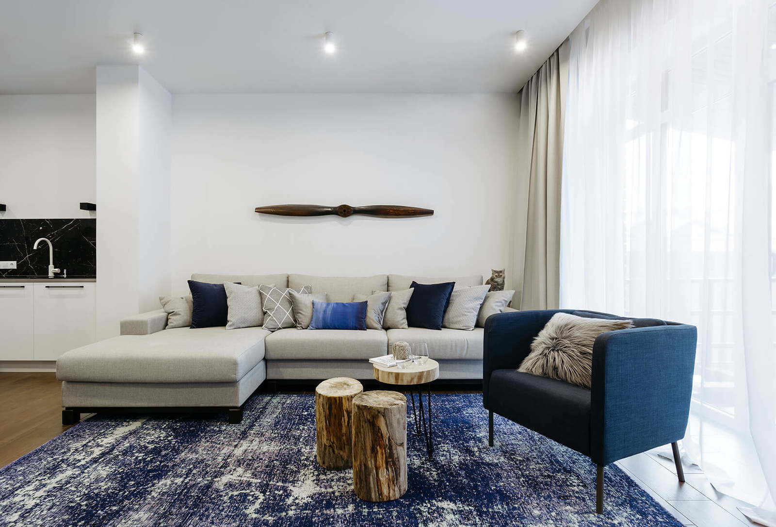 Обложка проекта: Танухаус в современном стиле