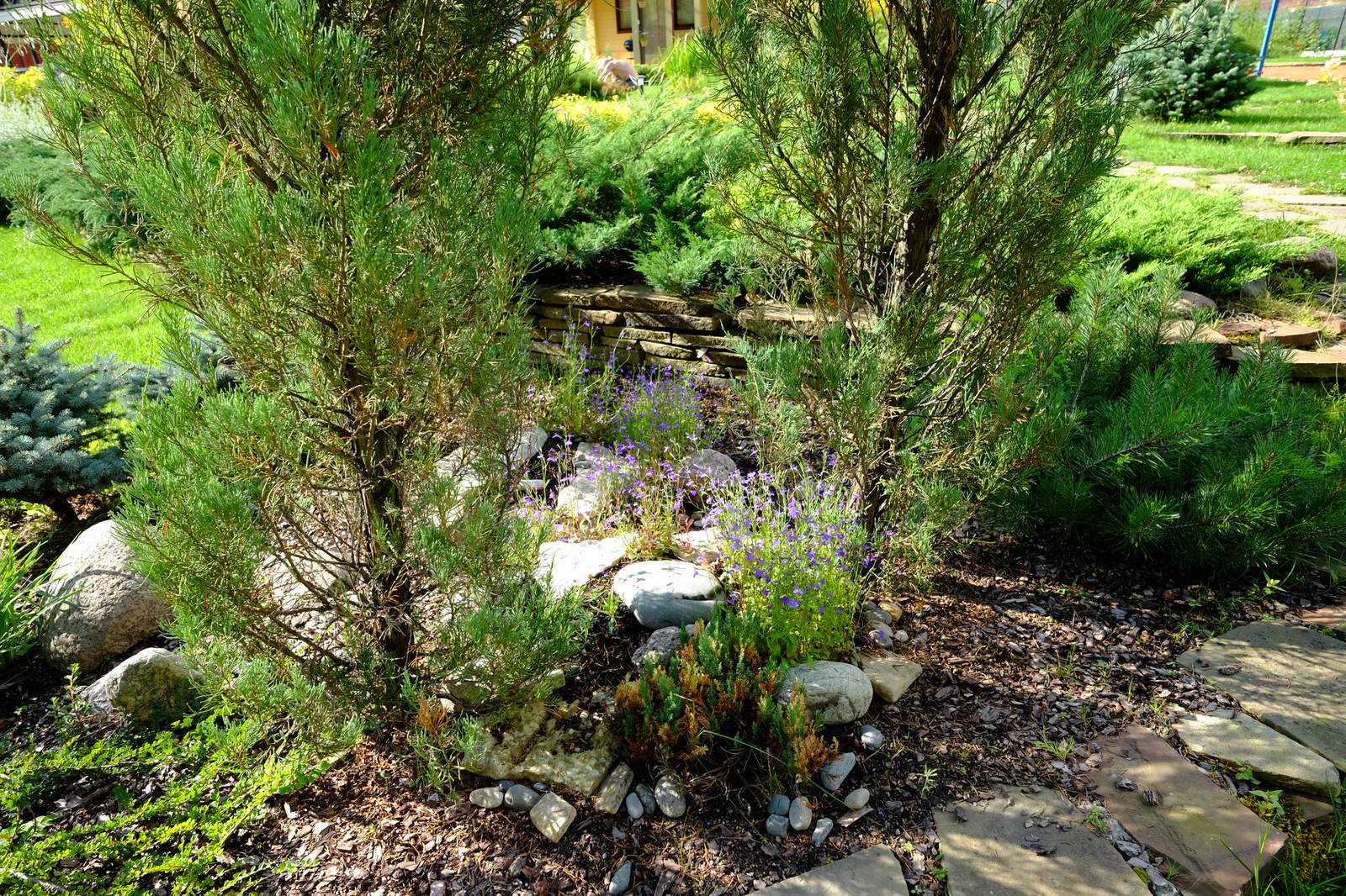 Зеркальный Ландшафтное проектирование