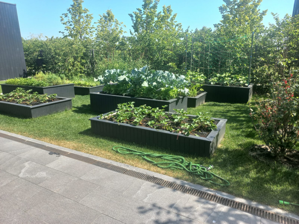 Обложка проекта: Landscape design of the territory (Voronezh region)