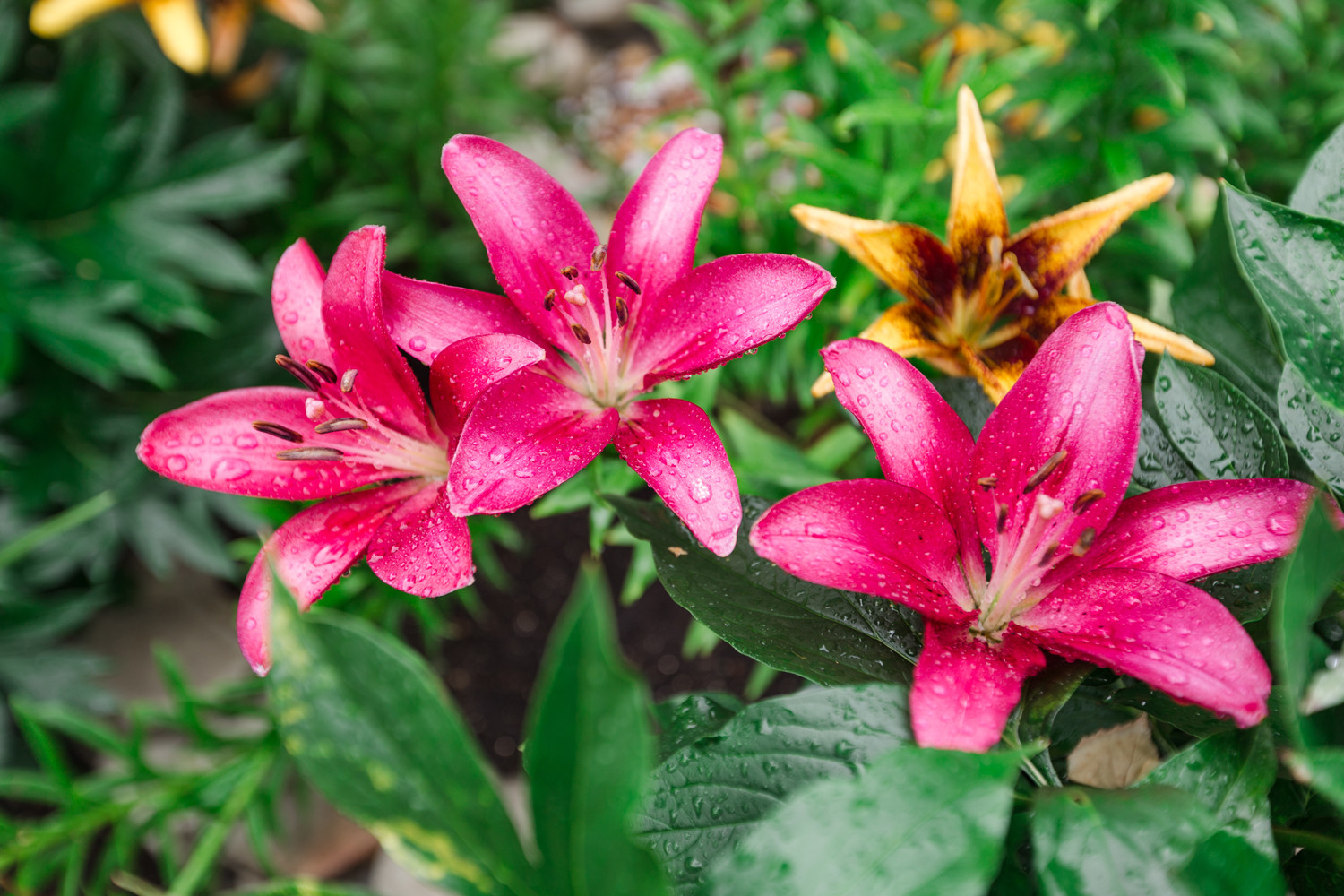 Экстерьер загородного дома