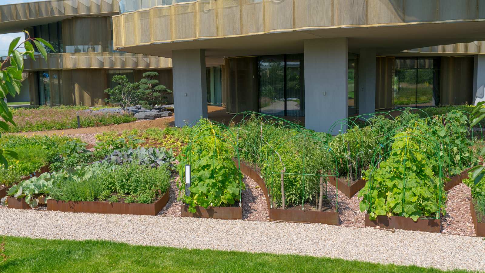 Природный сад. Жуковка XXI век. 2017-2018 гг.