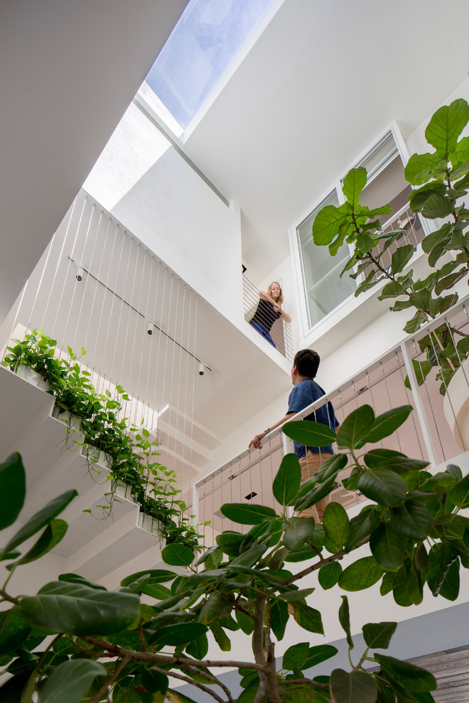 Houzz Сингапур: Дом с садом в Опера Эстейт