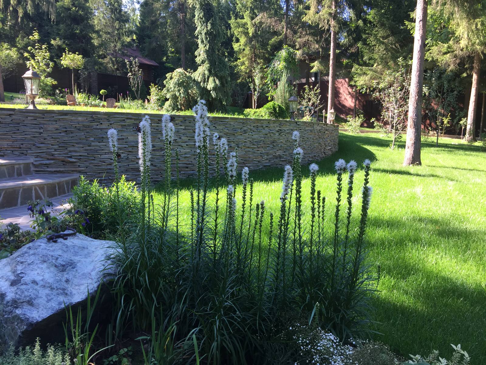 Ландшафтный дизайн участка 45 соток, КП Дубровка, МО