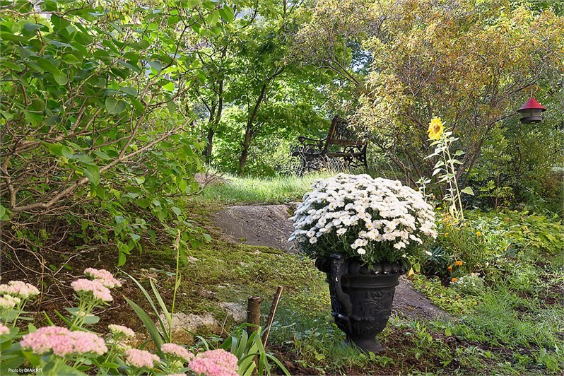 Фотоохота: Дворики, садики, патио — 65 идей из Швеции