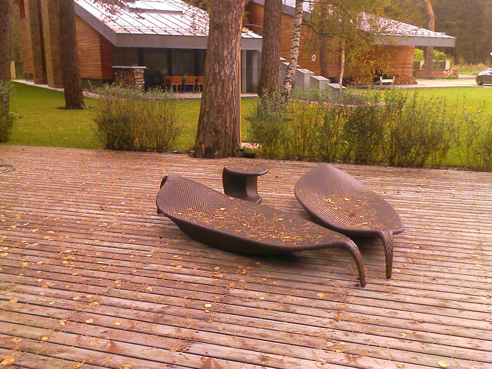 Дом в соснах у пруда