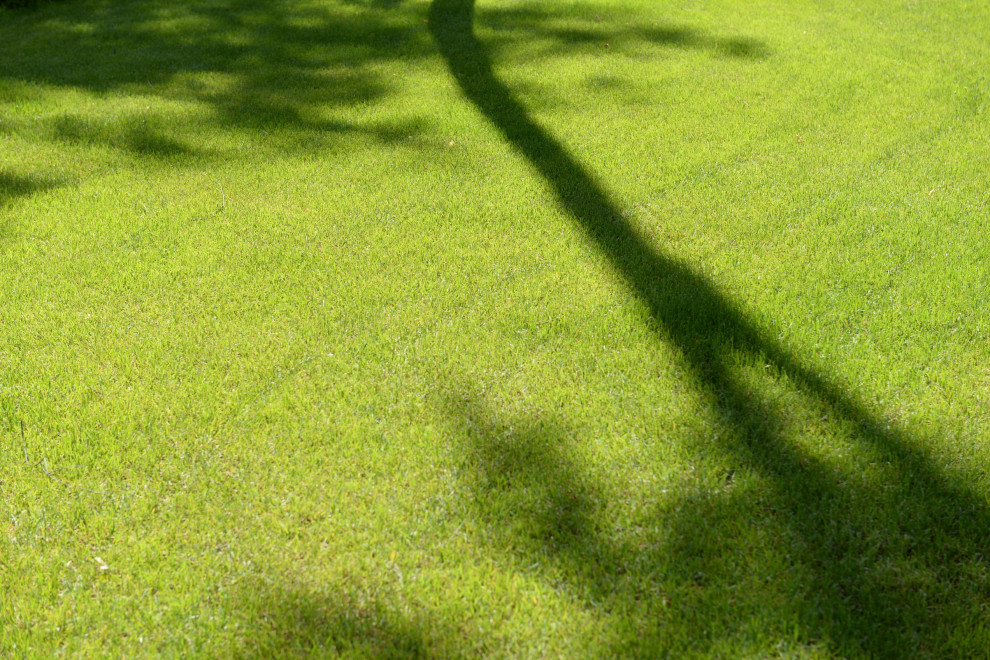 Обложка проекта: Новогорск 2021