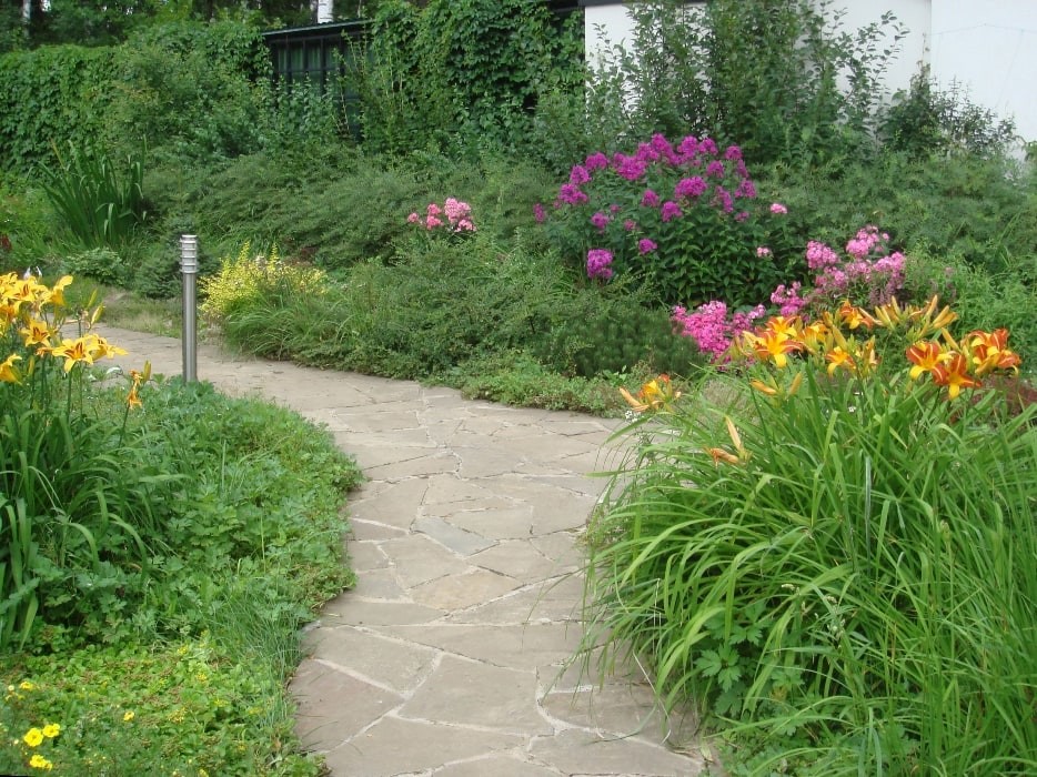 Рублево-Успенское шоссе. 55 соток.