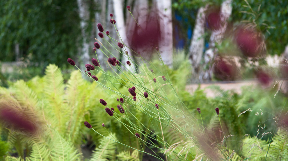 Обложка проекта: Белый