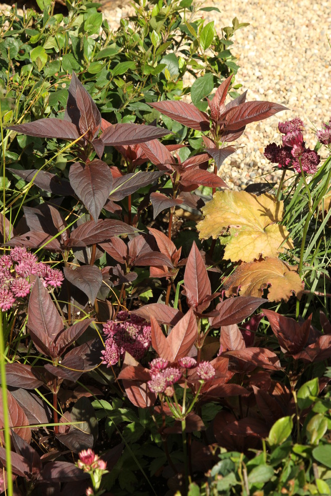 Выставочный сад "Азбука сада"