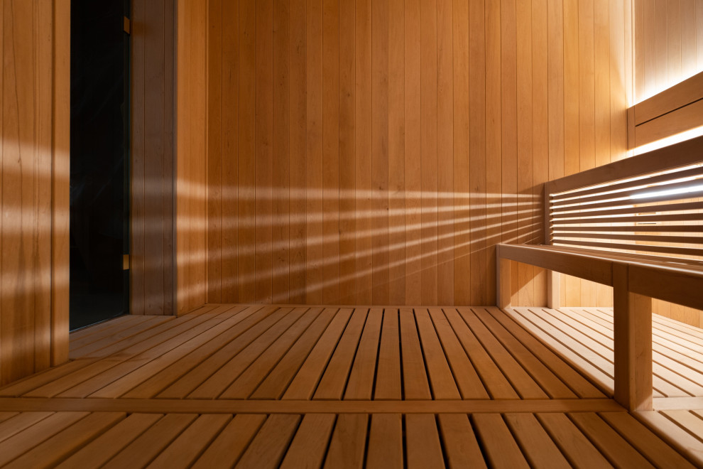 Обложка проекта: Сауна для компании Health-Spa.ru