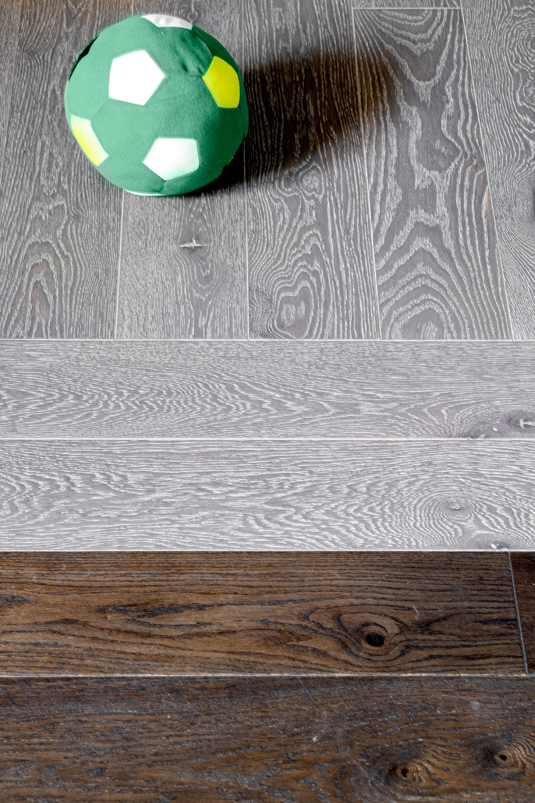 ТВ проект. Фазенда.