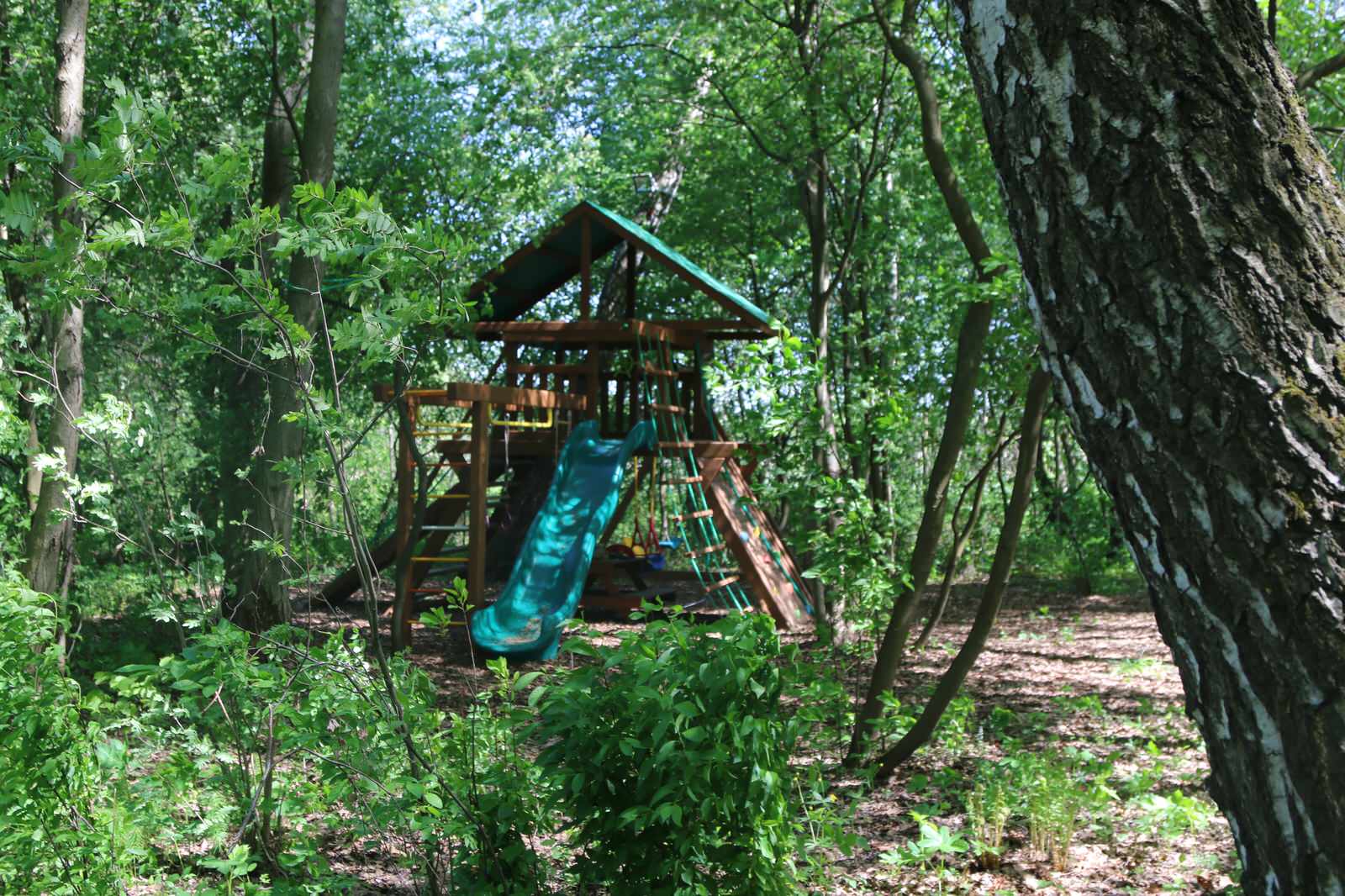 Бельгийка 02