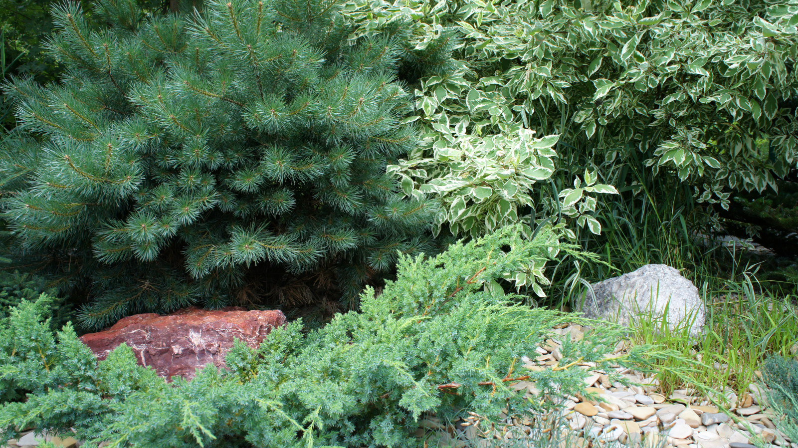 Цветники и композиции крупным планом