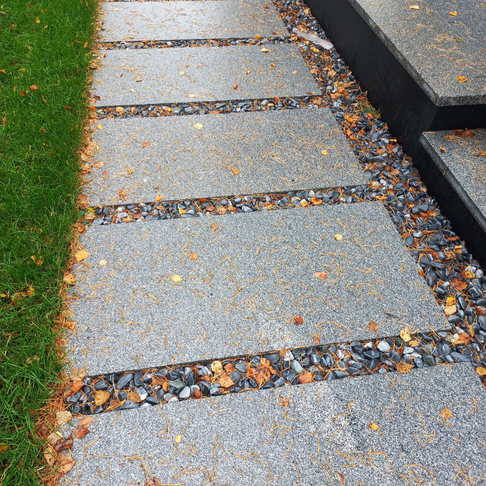 Текущий проект: Репино-Парк