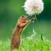 Любовь Бережкова