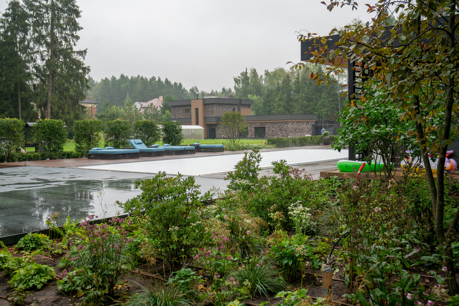 Лесные Зори. 1 Га. 2023 г.