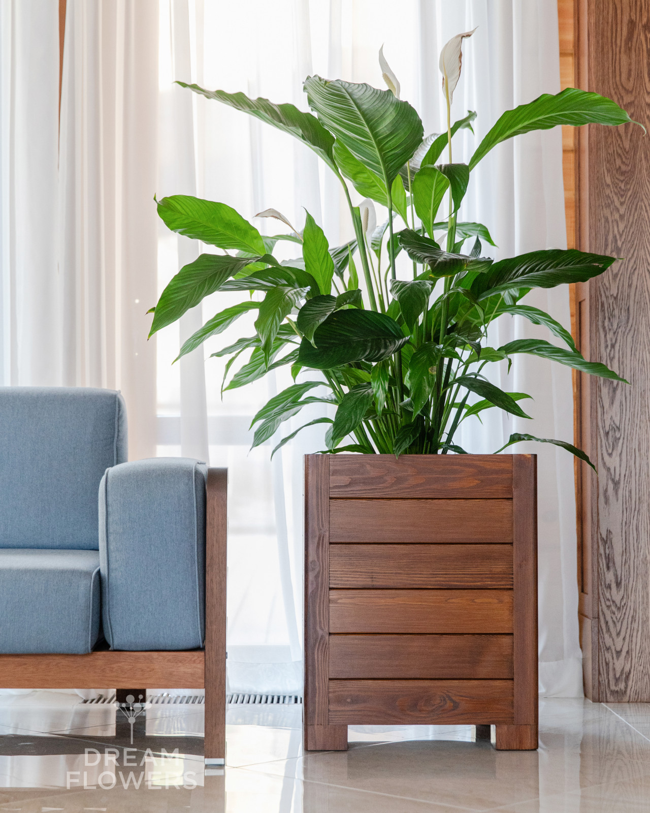 Обложка проекта: Озеленение частного дома