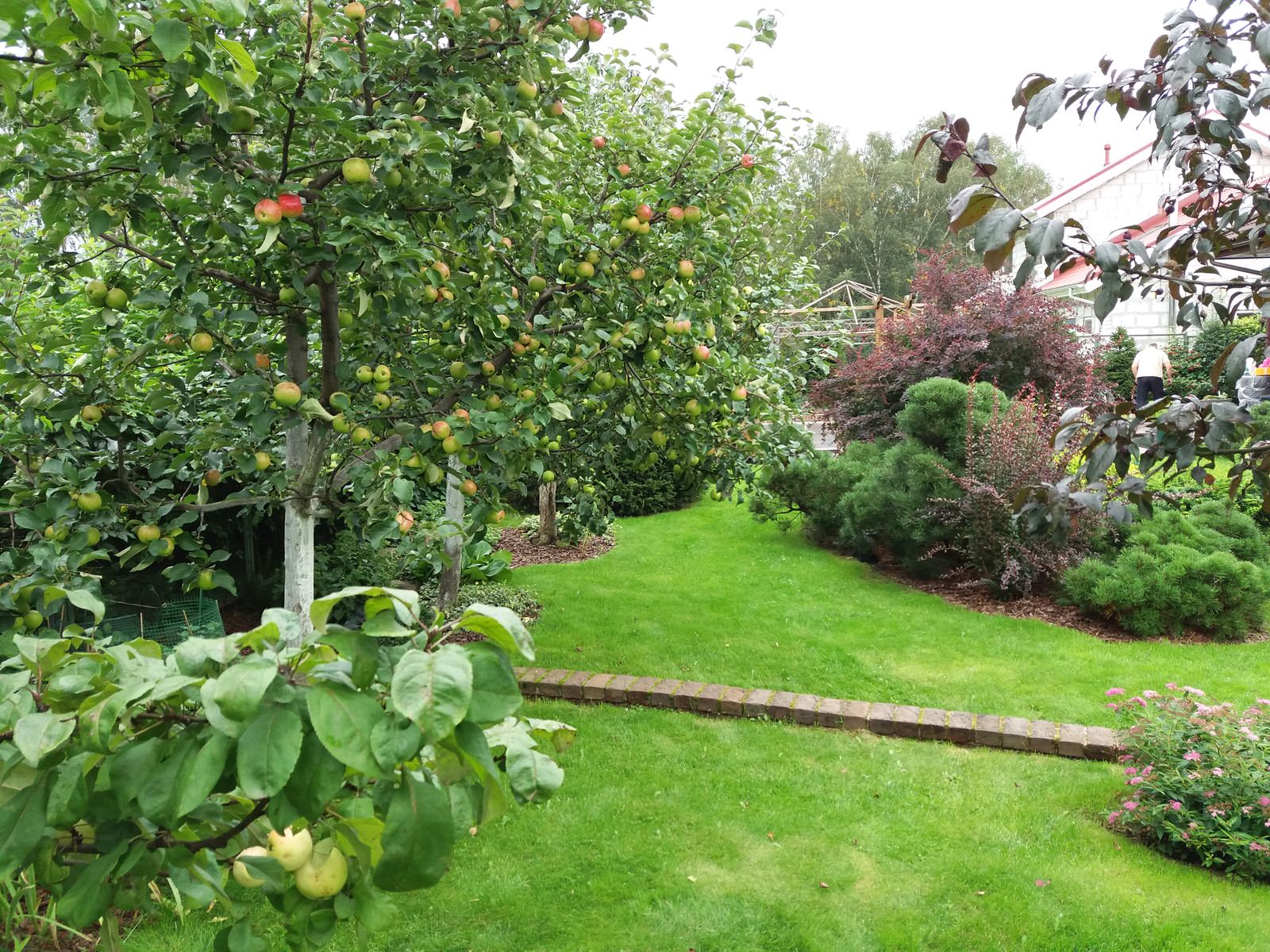 Светлана Сабельфельд