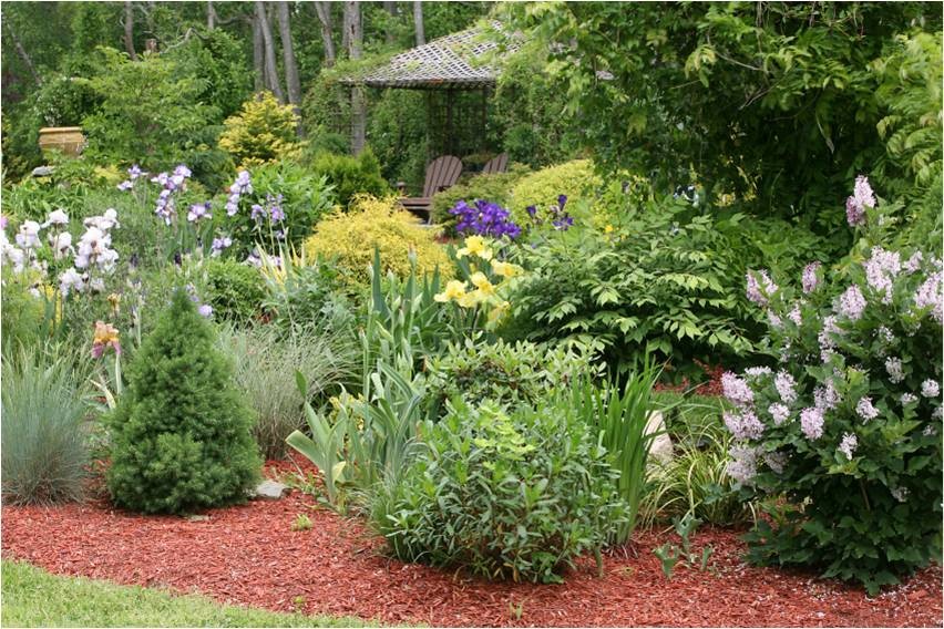 Ландшафтный дизайн на лесном участке