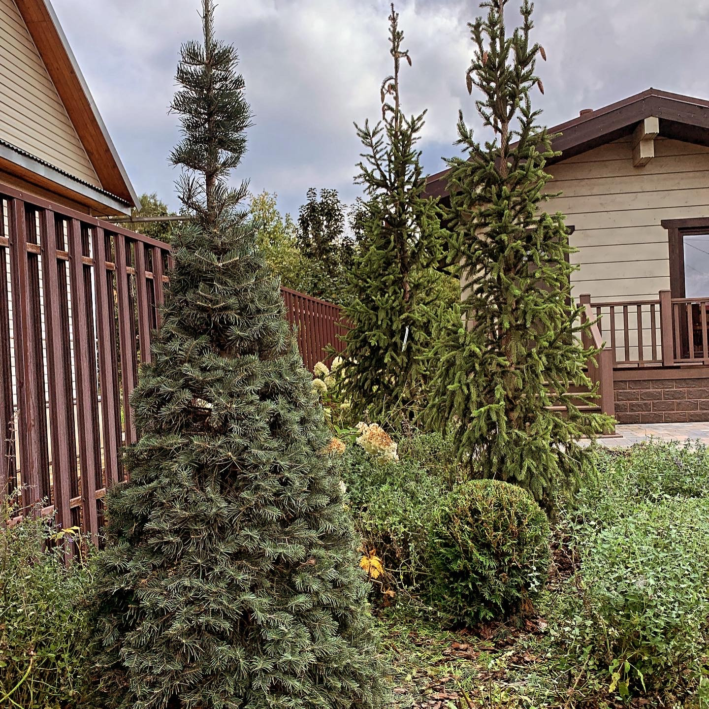 Обложка проекта: Сад Светлый Красная Пахра