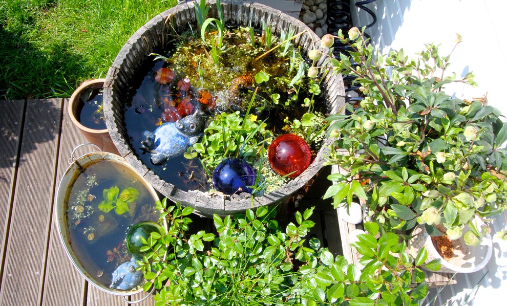 Houzz Германия: Цветущий сад на крыше в Берлине