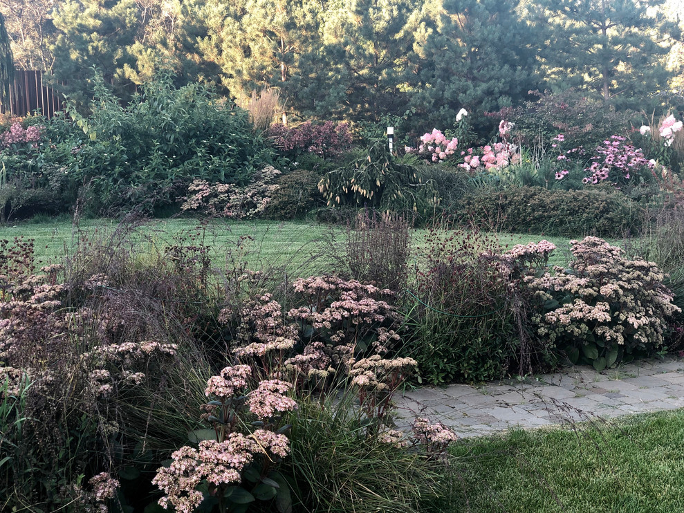 Обложка проекта: Вешки