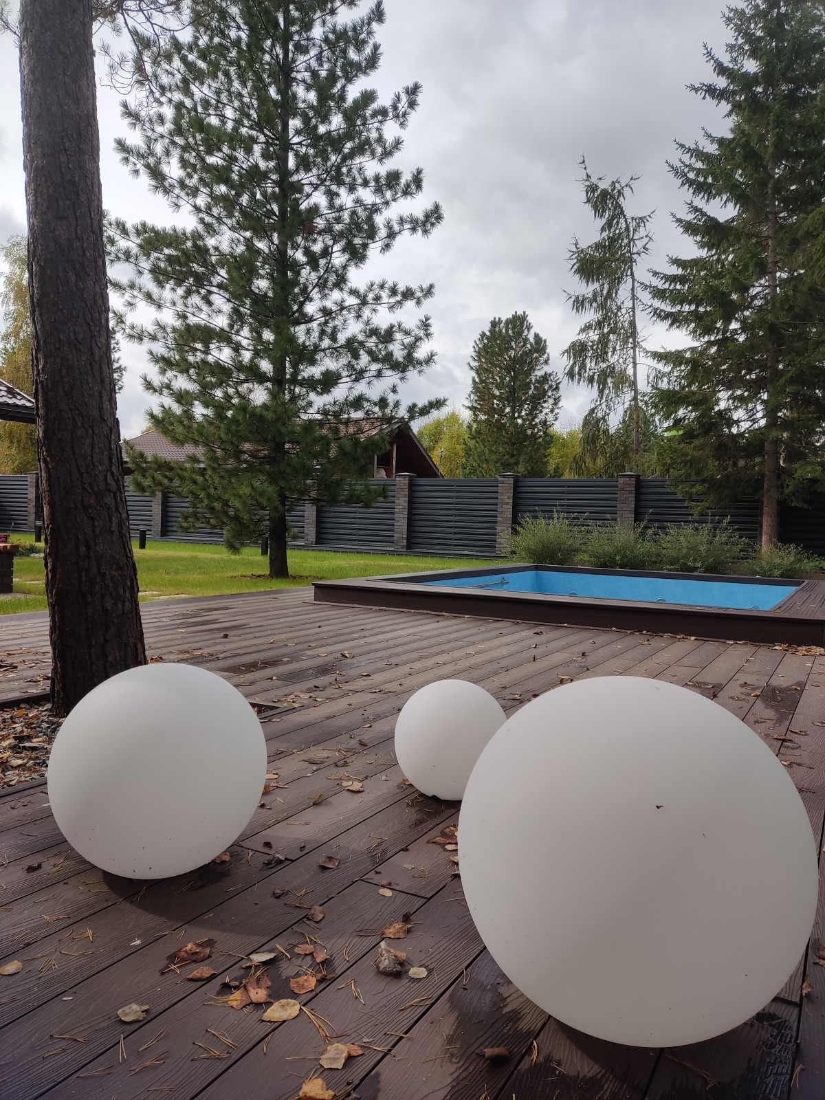 Денис Светлый Яр