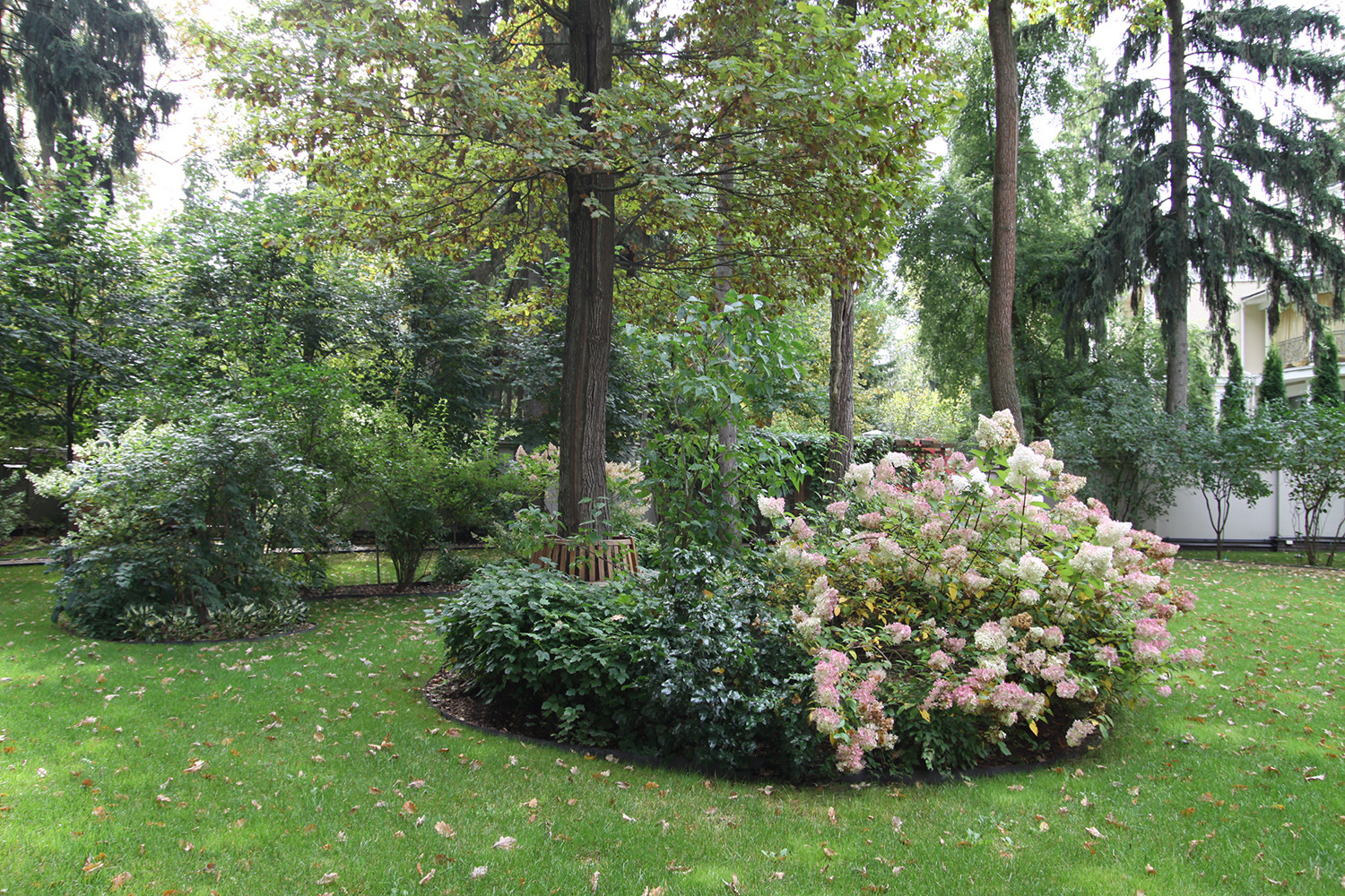 Обложка проекта: Полесье