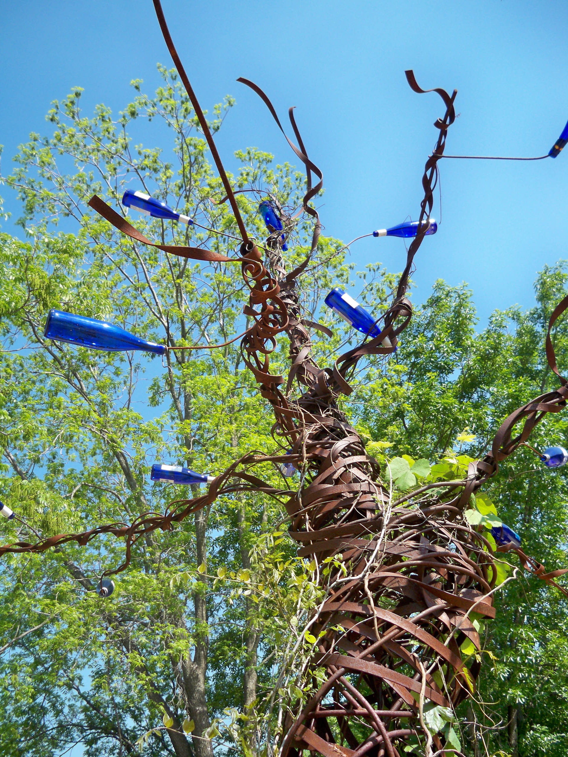 Микротренды: Послание из бутылки